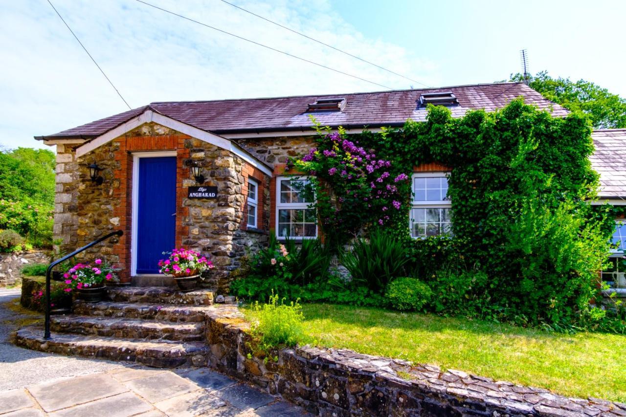 Lakeside Cottage كرمرثن المظهر الخارجي الصورة